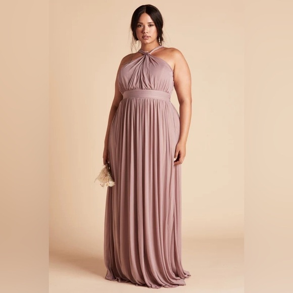 NWT Birdy Grey KIKO Dress in Mesh Mauve - Picture 1 of 6
